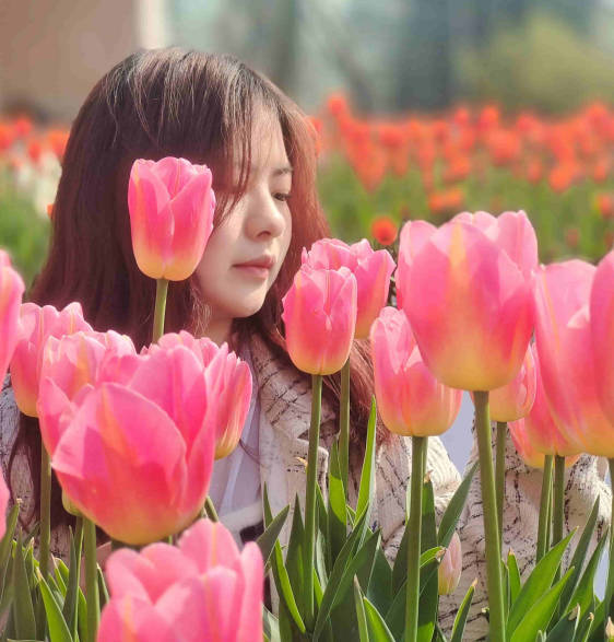 hexo系列（七）文章的资源文件夹和数据文件